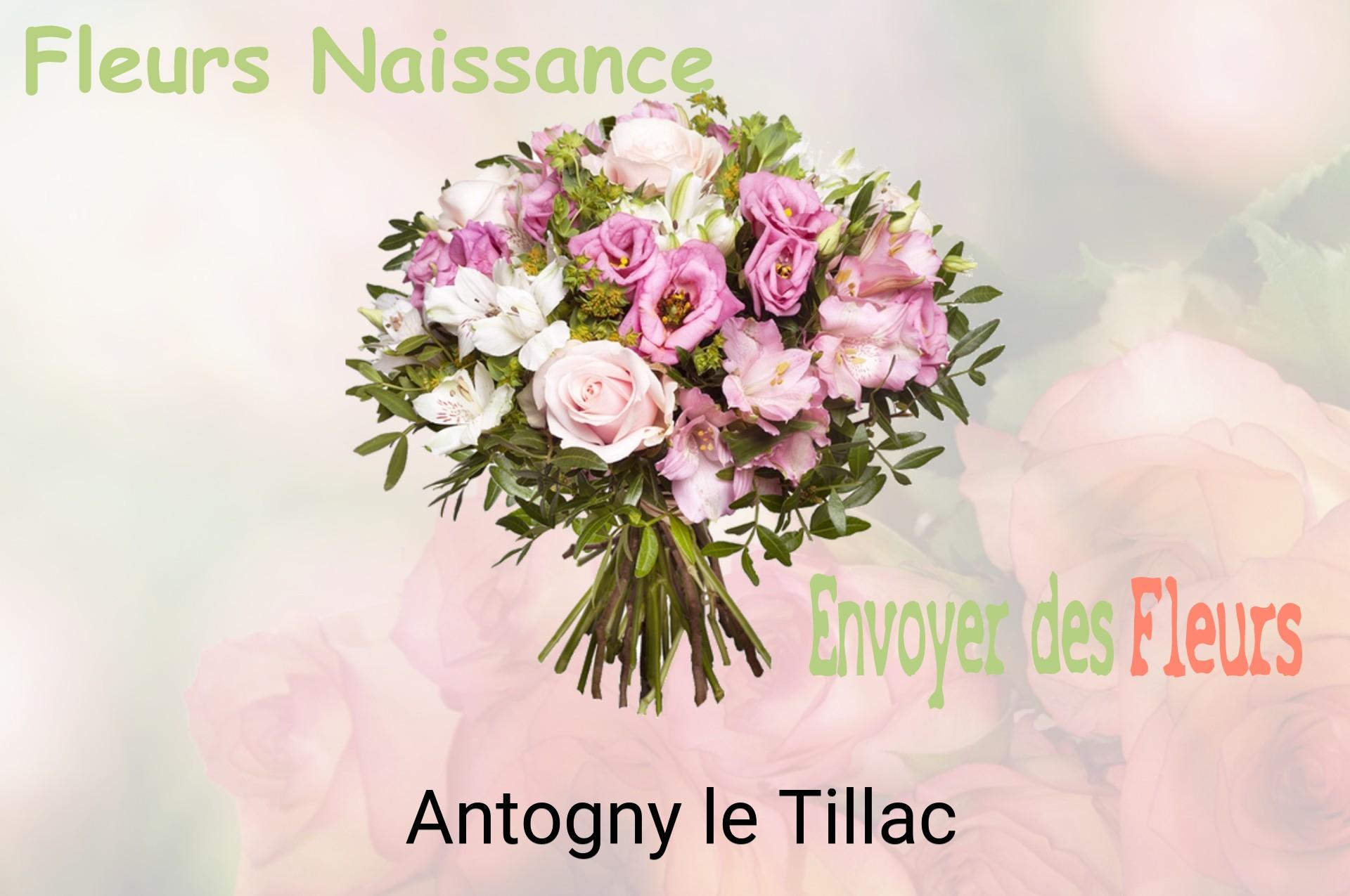 Bouquet de fleurs de naissance livré à Antogny-le-Tillac