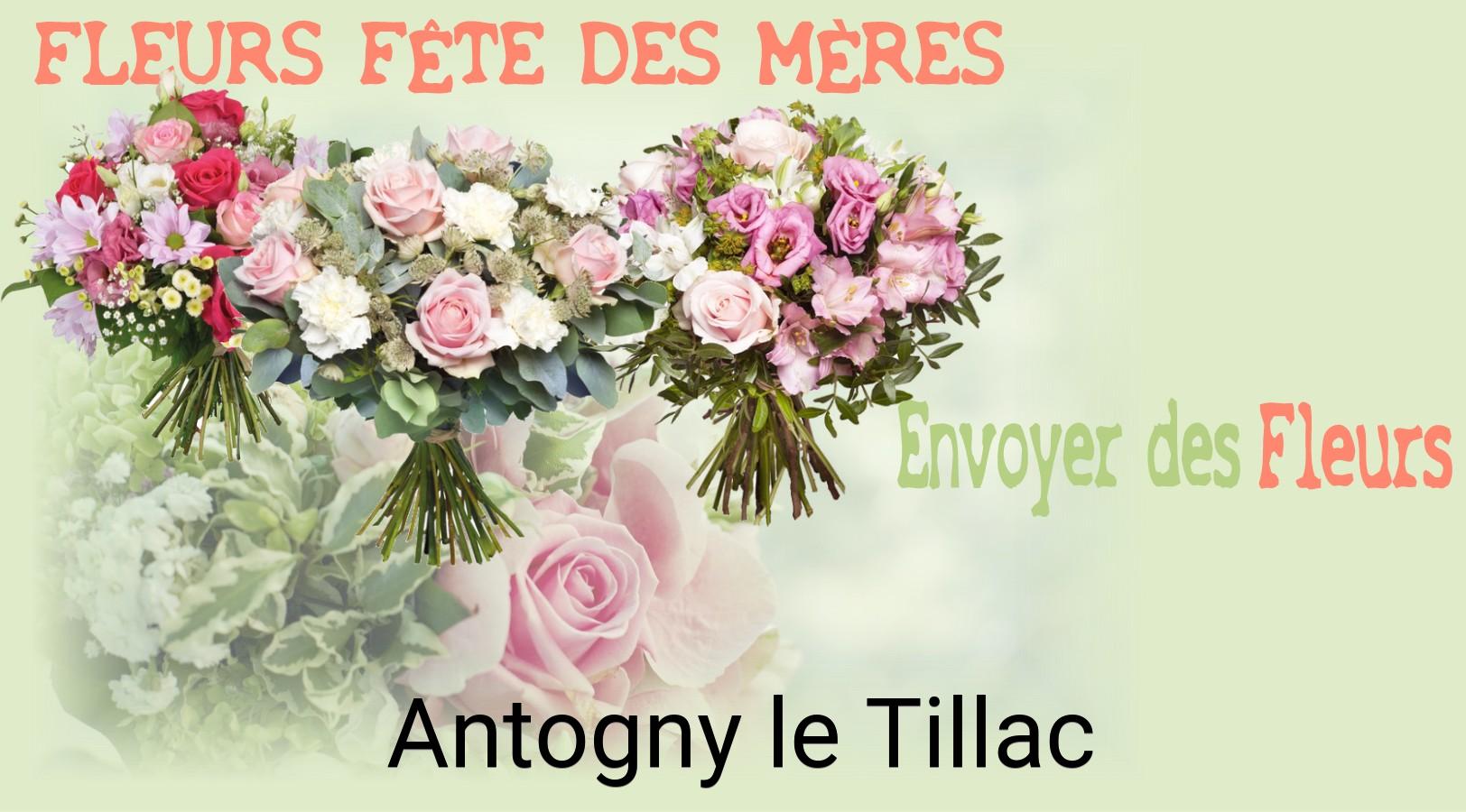 Bouquet de Fête des Mères livré à Antogny-le-Tillac